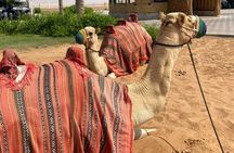 "Vip Desert Safari Dubai With BBQ Dinner Camel Ride live shows "