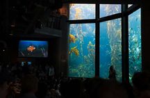 Monterey, Pebble Beach and Carmel Tour With Optional Aquarium
