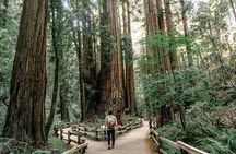 Muir Woods and Sausalito Small Group Tour From San Francisco