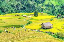 Full Day Sapa Car Tour Muong Hoa Valley and Nam Cang