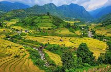 Full Day Sapa Car Tour Muong Hoa Valley and Nam Cang
