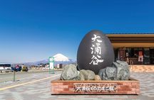 One Day Hakone and Mount Fuji Area Tour from Tokyo