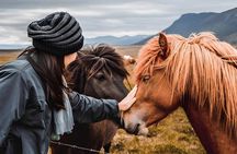 Isafjordur Port: Small Group Dynjandi Waterfall & Farm Visit Tour