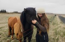 Isafjordur Port: Small Group Dynjandi Waterfall & Farm Visit Tour