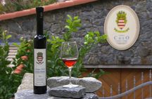 Wine Tasting Experience at Torre Bertram