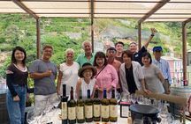 Wine Tasting Experience at Torre Bertram
