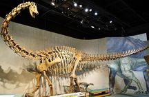 Denver Museum of Nature and Science Ticket and Audio Tour