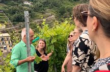 Wine Tasting Experience at Torre Bertram