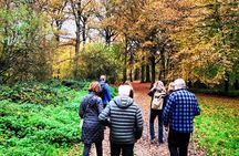 Chiltern Safari all inclusive Food and Drink Day Tour