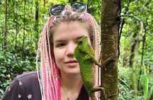 Sinharaja Rainforest Nature Tour with Experienced Local Guide