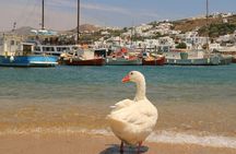 Private Mykonos Town And Countryside Tour