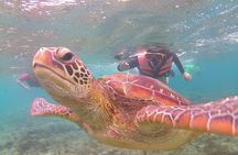 Apo Island and Dumaguete Countryside Tour