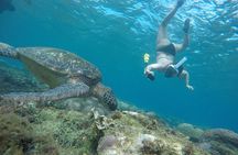 Apo Island and Dumaguete Countryside Tour