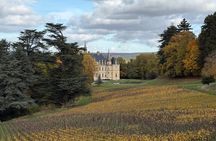 Half Day Champagne Experience and Tastings, Near Épernay