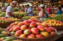 Cultural Tour Higüey History, Local Life and Dominican Gastronomy