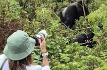 2 Days Rwanda Gorilla & Golden monkey trekking with Canoeing.