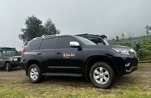 2 Days Rwanda Gorilla & Golden monkey trekking with Canoeing.