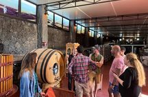 Family Winery Tour and Tasting in Lanzarote