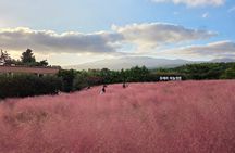 Jeju South-West UNESCO Tour & Hallasan
