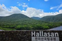 Hallasan and Southwest Jeju UNESCO Highlights Tour
