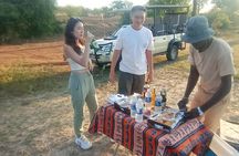 A Game Drive in the Zambezi National Park in Victoria falls