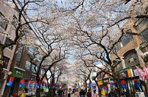 Hallasan and Southwest Jeju UNESCO Highlights Tour