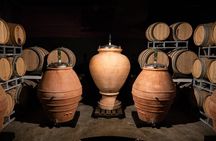 Morning Chianti E-Bike: Immersive Wine Experience & Local Lunch