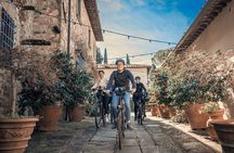 Morning Chianti E-Bike: Immersive Wine Experience & Local Lunch