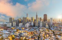 San Francisco Private Tour Muir Woods and Sausalito Day Trip