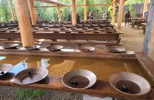 Golden Heart Tour gold panning, Arctic Animals Local Treasures
