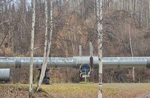 Golden Heart Tour gold panning, Arctic Animals Local Treasures