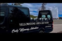 Yellowstone “Glass Top & Convertible” Van Tour W/Lunch & Souvenir