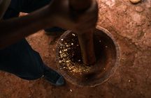 8-Day Private Luxury Safari: Northern Parks & Materuni Waterfalls