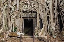 Angkor Wat One Day Special Sunrise Tour