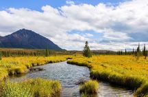 Denali Highway Full-Day Scenic Journey from Fairbanks