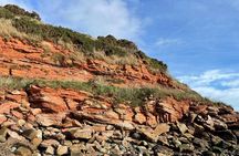 Gin 'On The Rocks': Coast, Geology & Climate-Positive Gin