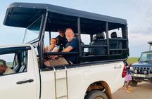 Half Day Safari Jeep Tours