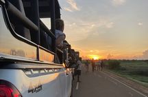 Half Day Safari Jeep Tours