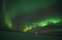 Rovaniemi Northern Lights Hunting HD Photo 200KM Road Trip