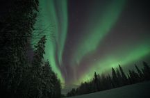 Rovaniemi Northern Lights Hunting HD Photo 200KM Road Trip
