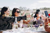 Shore Excursion: Lavender Fields, Valle Views with pickup dropoff