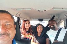 Shore Excursion: Lavender Fields, Valle Views with pickup dropoff