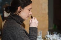 Tasting of 6 Bordeaux wines and pairing charcuterie & cheese