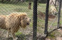 Private Harare Wildlife Tour: Lion Park, Bird park & Snake Park