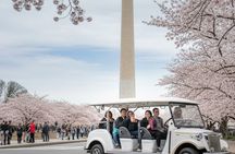 Washington DC Monument's Cherry Blossom Guided E-Cart Tour