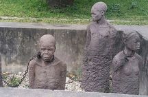 Zanzibar Stone Town, Spice Farm & Prison Island Tour