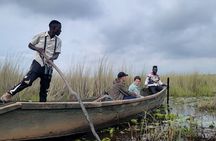 Daily Shoebill Tours