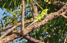 Wilderness Safari with Susa udawalawe