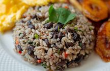 San Luis Ecological Farm Birding Tour.