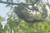 From San José-Private Arenal Volcano & Local Life Experience